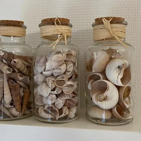 Thuis Op Texel 4* Den Burg