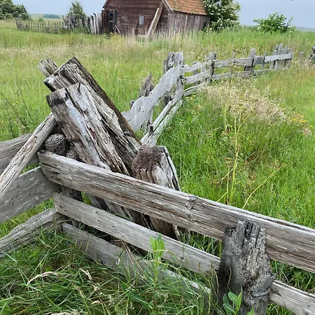 Thuis Op Texel 4* Den Burg