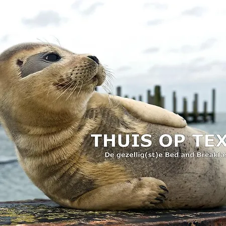 Thuis Op Texel Bed & Breakfast