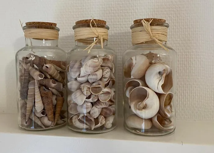 Thuis Op Texel 4* デン・ブルグ