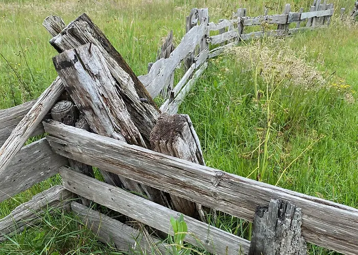 Thuis Op Texel 4* デン・ブルグ