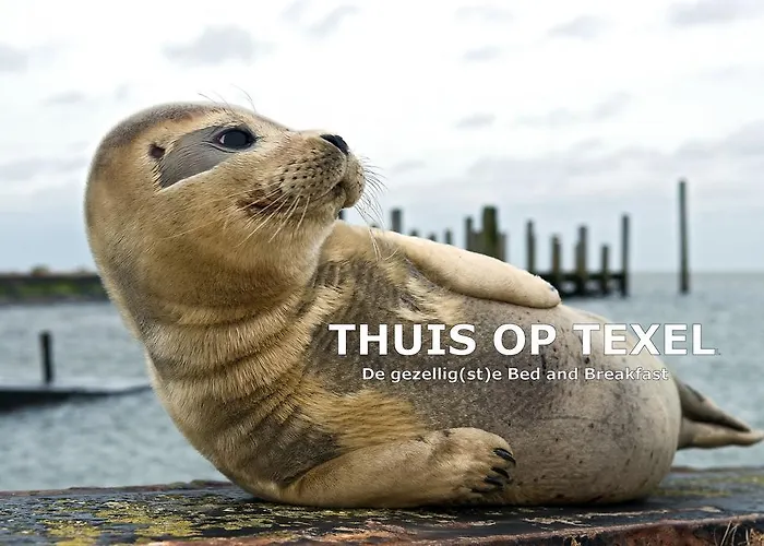 Thuis Op Texel ベッド・アンド・ブレックファスト