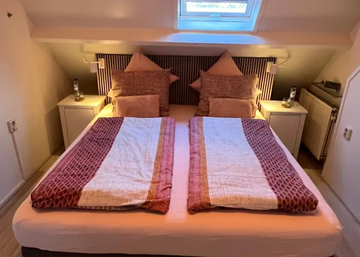 ベッド・アンド・ブレックファスト Thuis Op Texel 4*